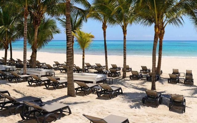 Full day pass & brunch in the best Beach Club in the Riviera Maya photo 10