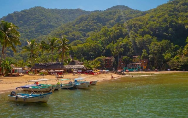 Private Boat Tour to Yelapa with Snorkeling and Village Hike photo 2