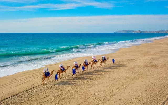Boat Ride to the Arch and Beach Camel Ride in Cabo San Lucas