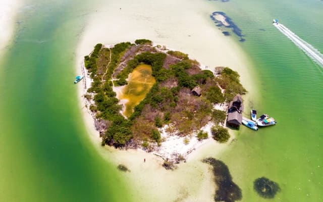 Awesome Holbox Tour. Ferry, Lunch & Punta Mosquito visit included photo 7
