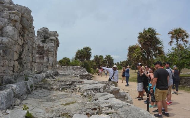 5x1 Deluxe Tour Tulum, Coba, Cenote Transportation from Tulum photo 5