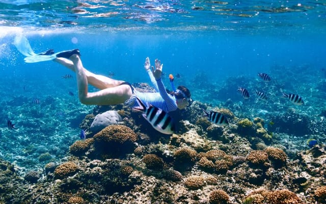 El Cielo the Breathtaking Snorkel Tour of Cozumel Cielito Beach & Lunch Included photo 3