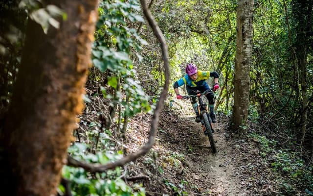 SINGLETRACK MOUNTAIN BIKE - Guided through the jungle photo 3