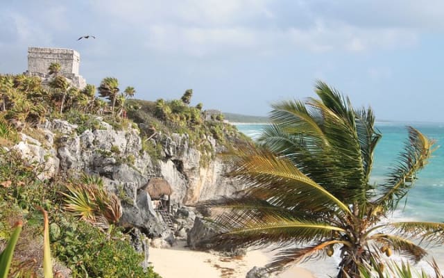 Tulum Ruins and 3 Cenotes - Jungle Adventure photo 2