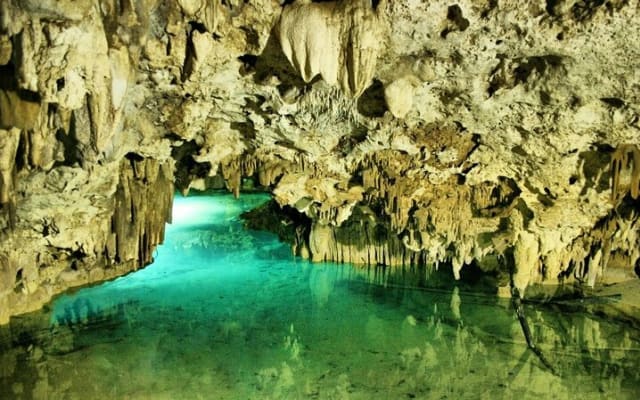 Silent Meditation in the Heart of the Cenote - Private groups photo 6