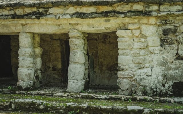 Explore Mayan Ruins Tulum & Coba, a cenote & Playa del Carmen photo 14