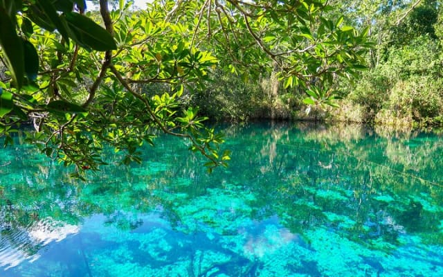 Amazing adventure in Tulum: Ruins, cenotes, transport and lunch photo 10