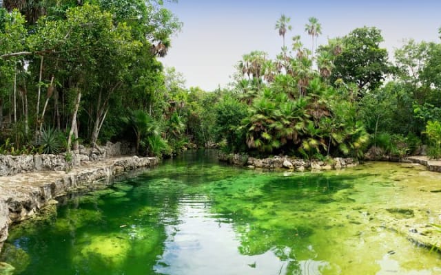 Amazing adventure in Tulum: Ruins, cenotes, transport and lunch photo 11