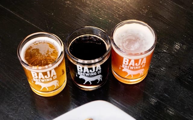 Balade artistique, dégustation de bière et démonstration de chocolat à San José del Cabo photo 7