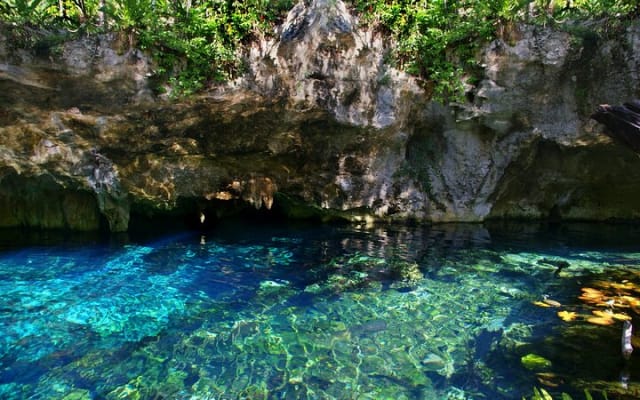 Magical adventure to Tulum, a giant sculpture and cenotes. Lunch included photo 10