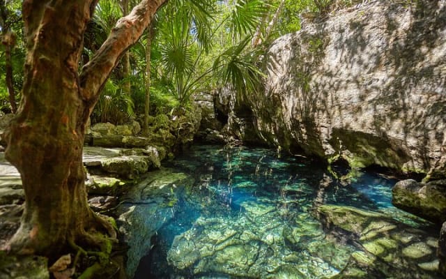 Experience this tour to Tulum, an artistic picture spot and cenotes adventure. photo 2