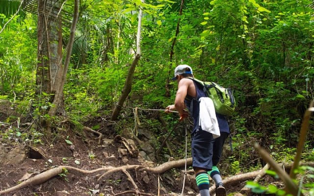 Aventura de caminata por la selva en Monkey Mountain photo 14