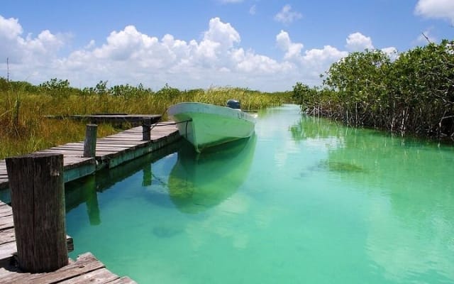 Sian Ka'an Biosphere Ancient Canals Expedition photo 12