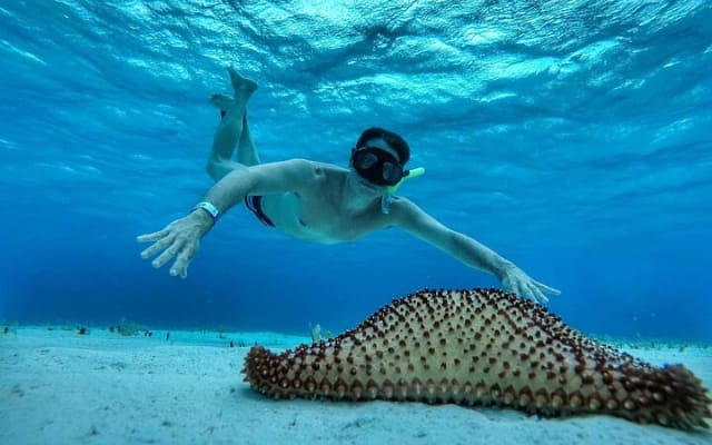 El Cielo the Breathtaking Snorkel Tour of Cozumel Cielito Beach & Lunch Included photo 2