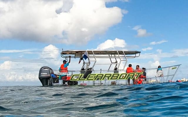 Explore the Caribbean in Amazing Clear Boat Tour in Cozumel photo 3