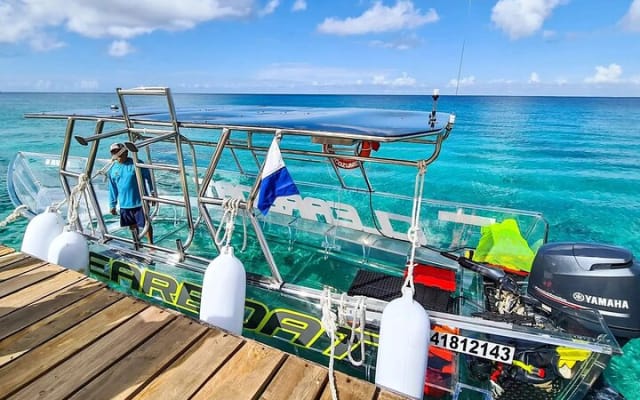Explore the Caribbean in Amazing Clear Boat Tour in Cozumel photo 6