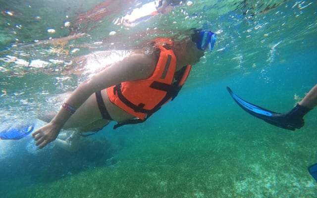Snorkel in the beautiful reef of Puerto Morelos with transport photo 6