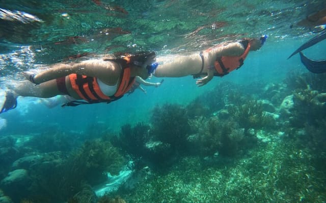 Snorkel in the beautiful reef of Puerto Morelos with transport photo 2