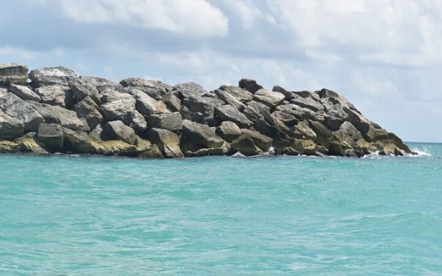 Snorkel in the beautiful reef of Puerto Morelos with transport photo 12