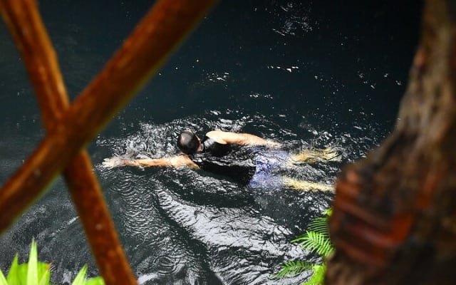 Atv Tour In Cancun (swim Cenote, Tarzan Jump And 5 Ziplines Included) photo 2