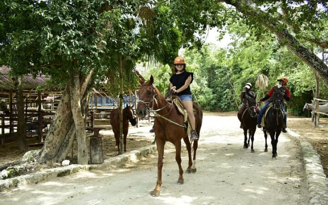 Wonderful Jungle Experience with Horse Riding, ATV, Ziplines and Cenote photo 4