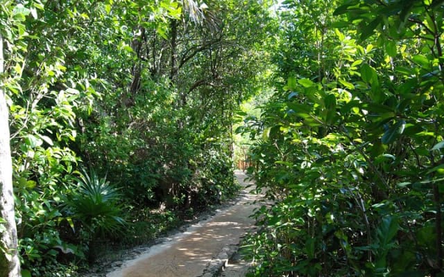 Fantastic Xel-Ha All Inclusive Tour only from Tulum photo 15