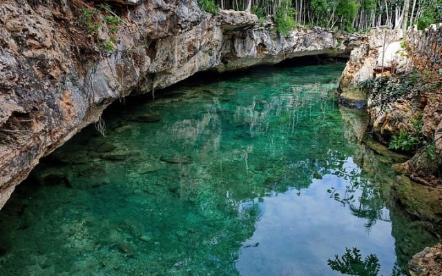 Tulum Cenotes Discovery: Swim & Snorkel in Nature’s Pools photo 12