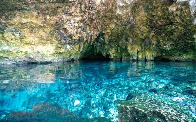 Tulum Cenotes Discovery: Swim & Snorkel in Nature’s Pools photo 2