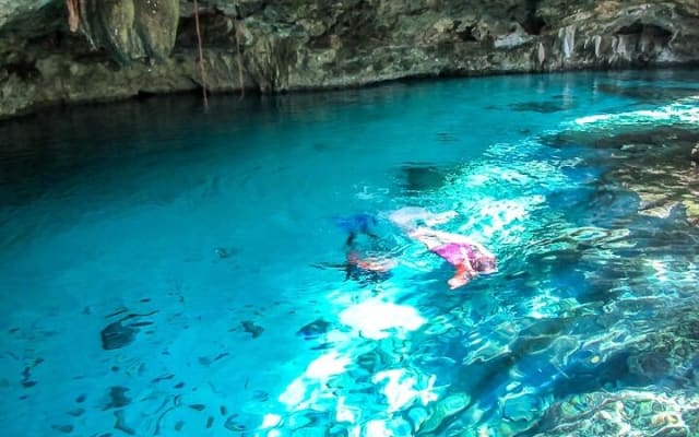 Tulum Cenotes Discovery: Swim & Snorkel in Nature’s Pools photo 4