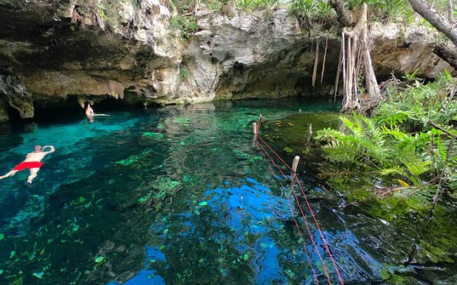 Tulum Cenotes Discovery: Swim & Snorkel in Nature’s Pools photo 11