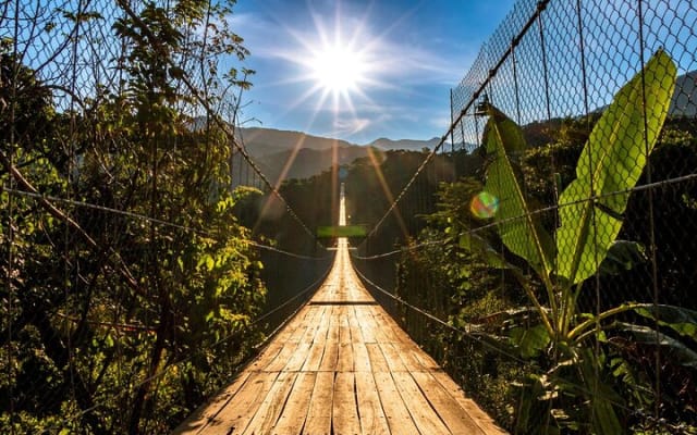 Puerto Vallarta Zipline, Mule ride and Jorullo Bridge Walking photo 8