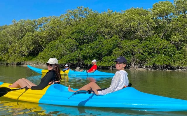 Tour the Mangroves in Kayak by Isla Holbox photo 6