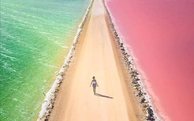 Las Coloradas, plage de Cancunito et Río Lagartos depuis Mérida photo 2