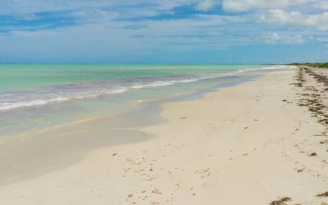 Las Coloradas, plage de Cancunito et Río Lagartos depuis Mérida photo 11