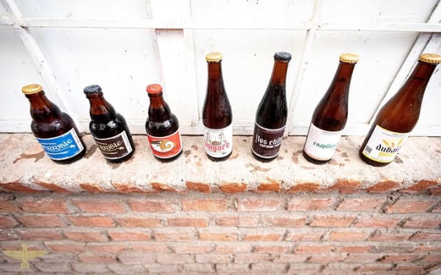 Tour des brasseries en bus depuis le Mexique photo 9