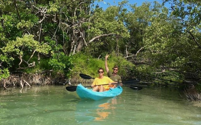 Tour the Mangroves in Kayak by Isla Holbox photo 9