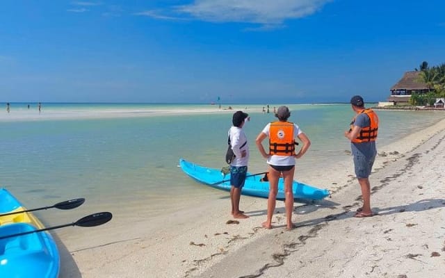 Tour the Mangroves in Kayak by Isla Holbox photo 8