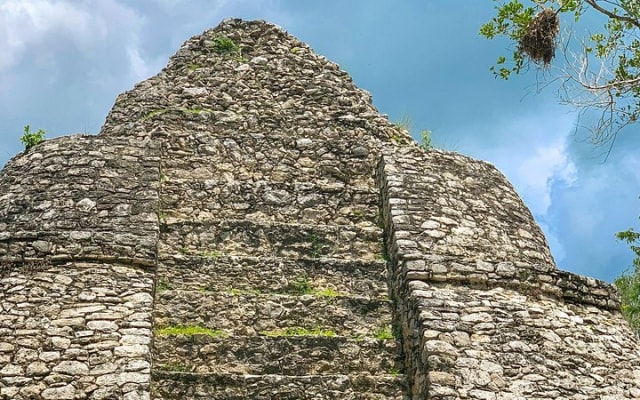 Tulum, Cobá et cénote depuis Playa del Carmen photo 12