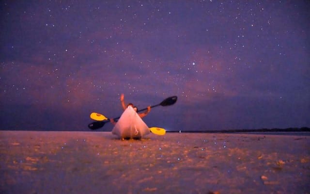Magic Night of Stargazing and Bioluminescence photo 5