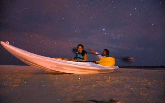 Magic Night of Stargazing and Bioluminescence photo 3