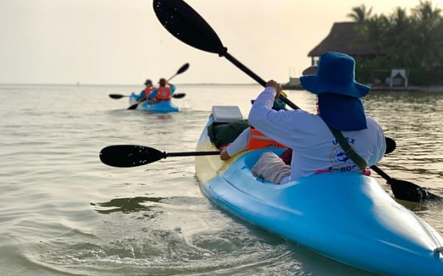 Tour the Mangroves in Kayak by Isla Holbox photo 2