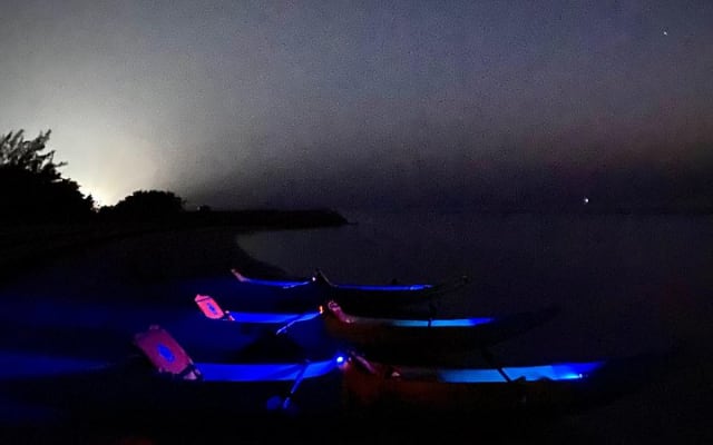 Discover Bioluminescence in Kayak with a Guide photo 4