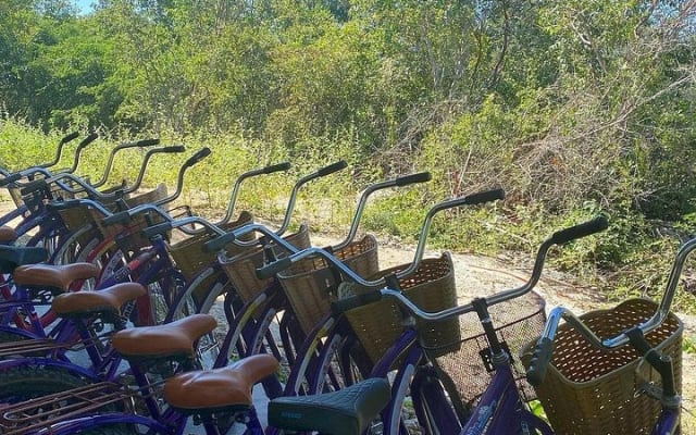 Mérida : 4 cenotes de Santa Bárbara et vélos avec déjeuner photo 9