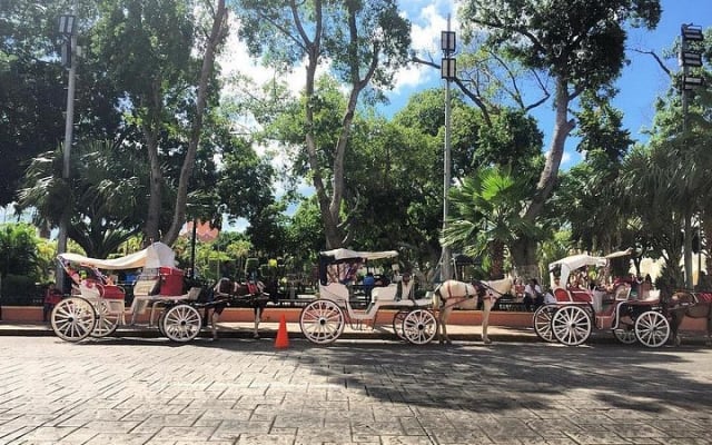 Half-Day Tour to Merida & its Traditional Gastronomy photo 4