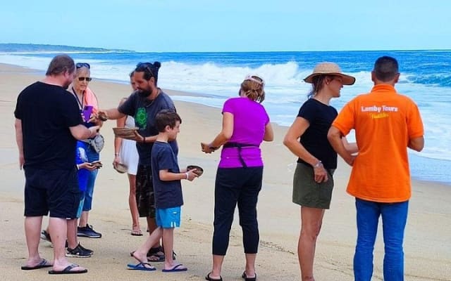 Private tour to release turtles with tickets included