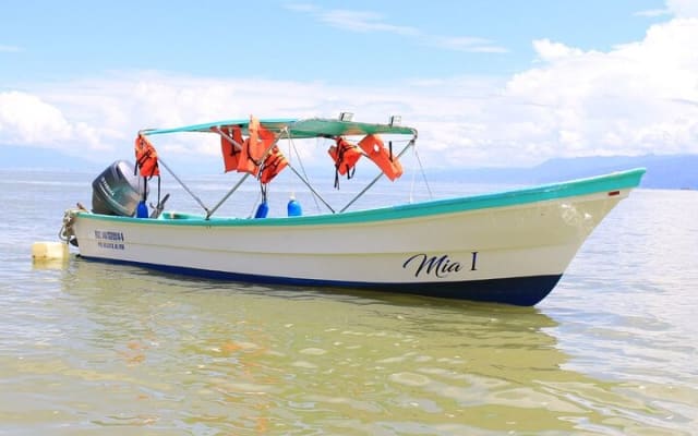 Tour privado en barco a Yelapa y snorkel en Majahuitas (hasta 7 personas) photo 3