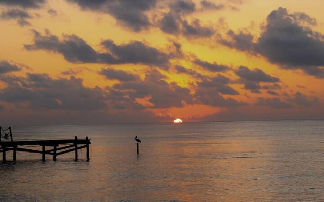 Private Day Trip From Tulum to Cancun, English Speaking Driver photo 3