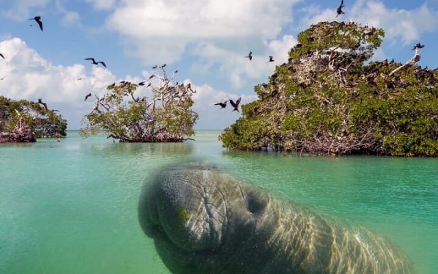 Nature Day, Sian Kaan Biosphere Tour! Transportation from Tulum photo 12