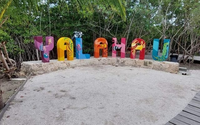Private 3 Islands Boat Tour around Holbox photo 4