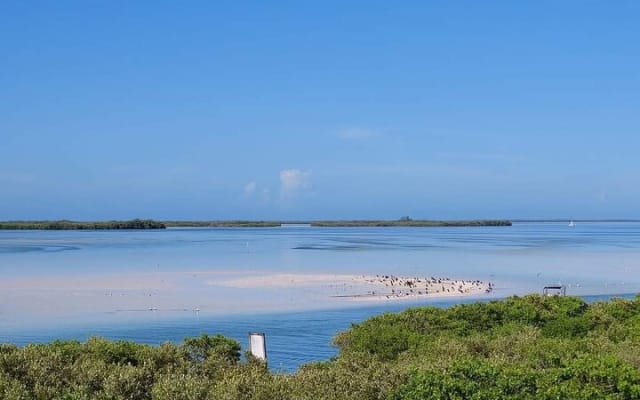 Private 3 Islands Boat Tour around Holbox photo 7